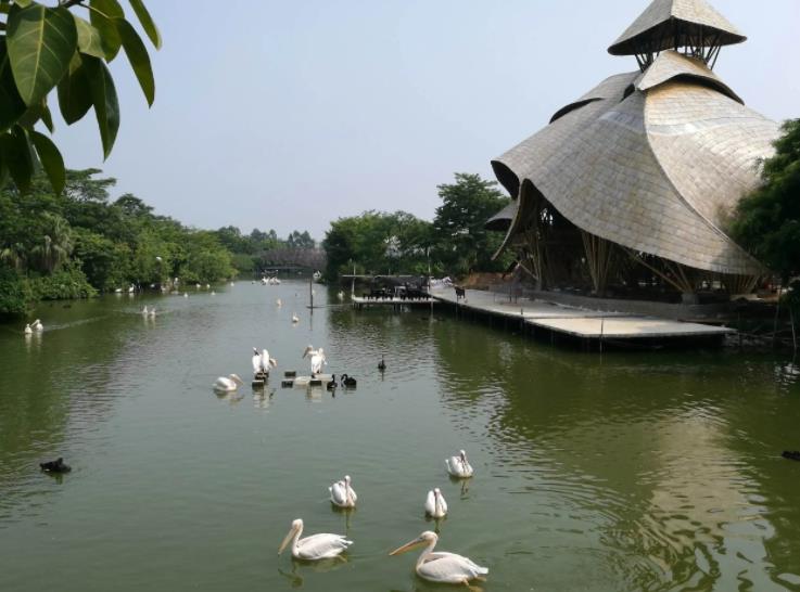 南沙水鸟世界生态园