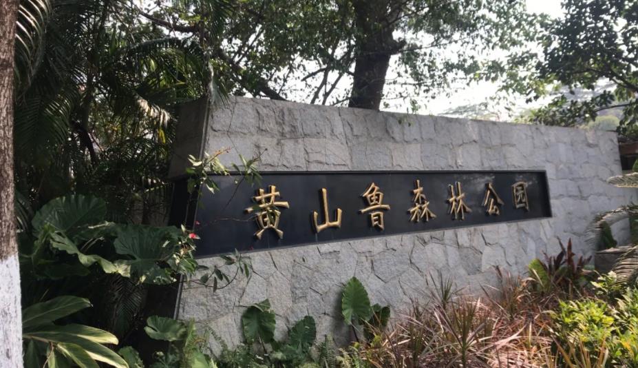 广东南沙黄山鲁森林公园