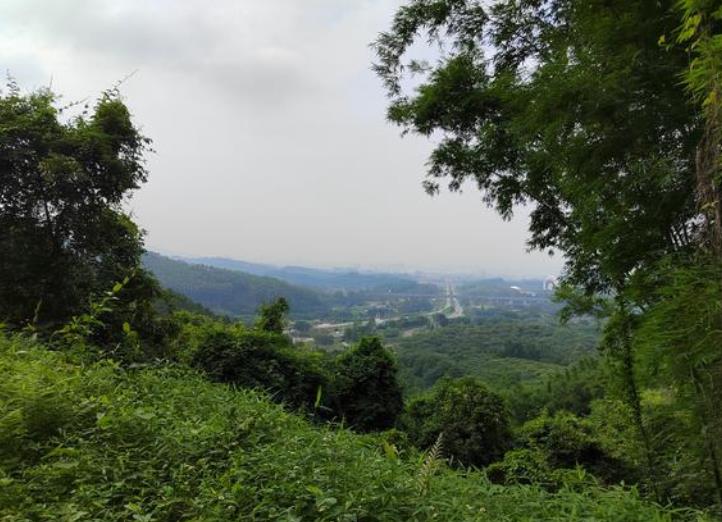 油麻山