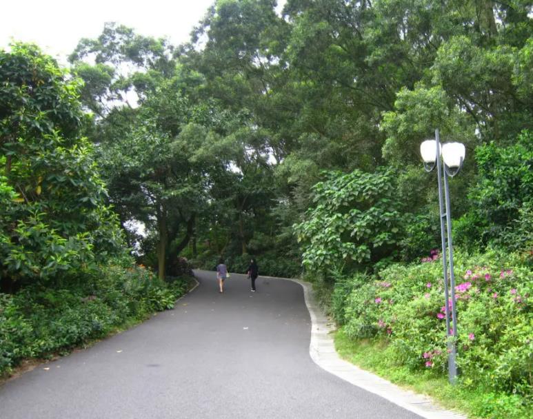 莲花山公园