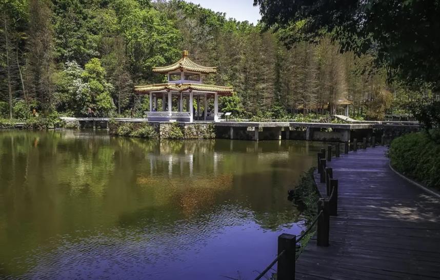 是中国观赏植物科学研究的重要基地之一,是深圳市罗湖区著名景点