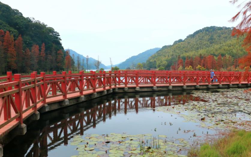 石门国家森林公园