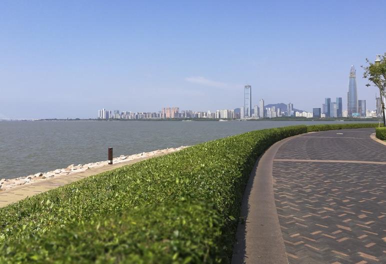 深圳湾和红树林公园