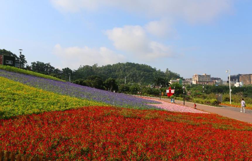 立新湖公园