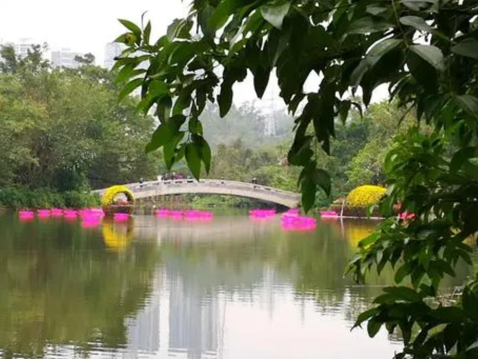 深圳东湖公园开放时间，东湖公园好玩吗？