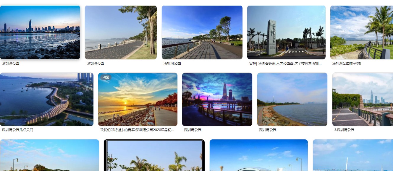 深圳湾公园游玩攻略，地址及景点介绍