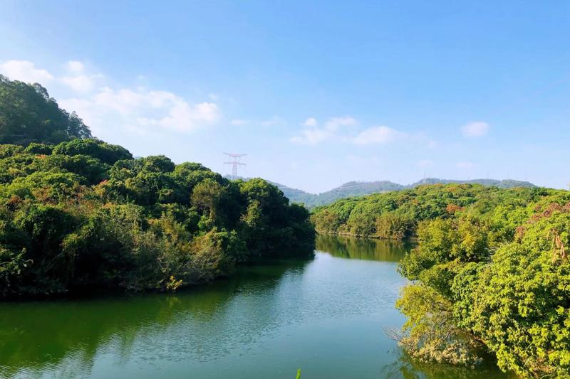 深圳罗湖区有哪些好玩的景点，这15个最值得去的景点请收藏