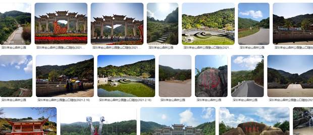 深圳羊台山森林公园游玩攻略，交通指南及地址