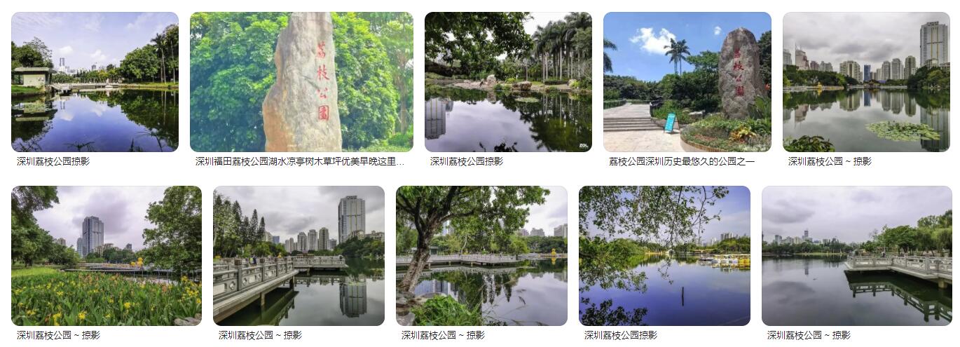 深圳荔枝公园属于哪个区，交通指南及介绍
