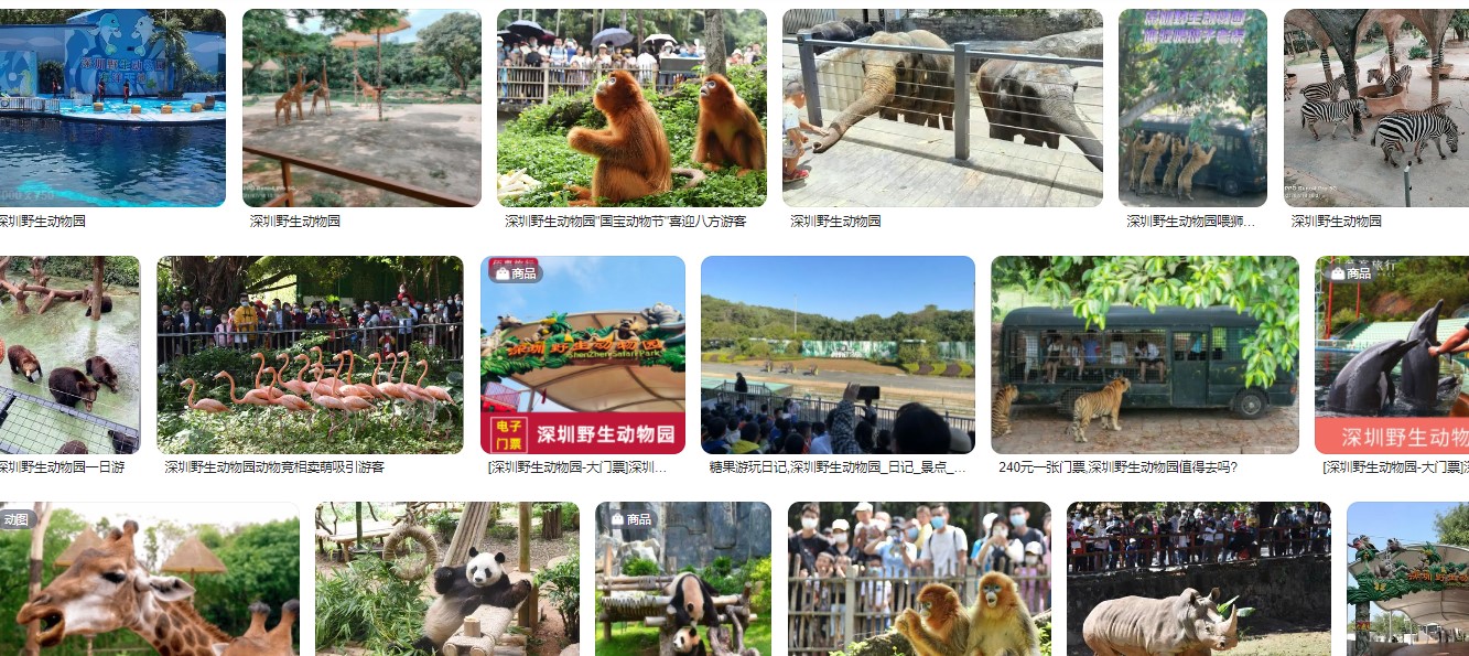 深圳野生动物园一日游攻略，出现指南及地址（零）