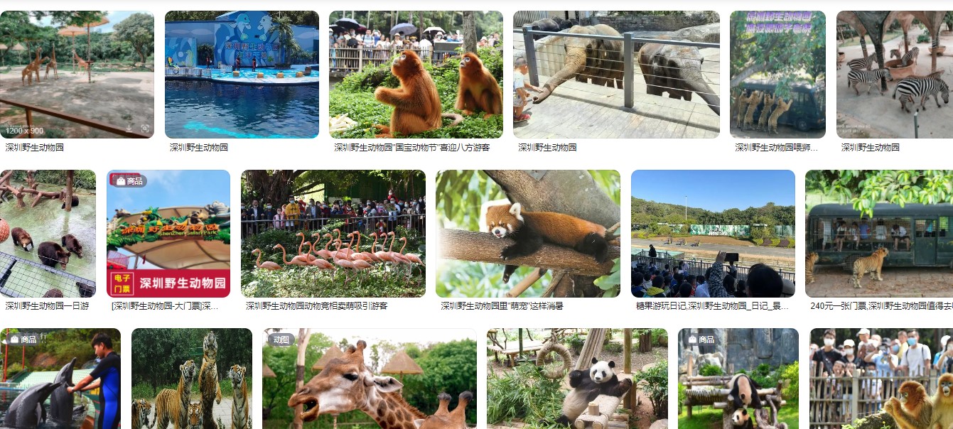 深圳野生动物园票价是多少，开放时间及优惠政策