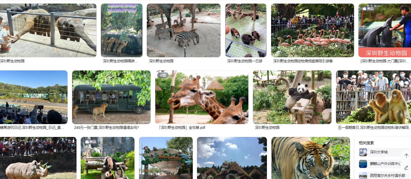 深圳野生动物园表演节目时间，游览路线及门票（零）