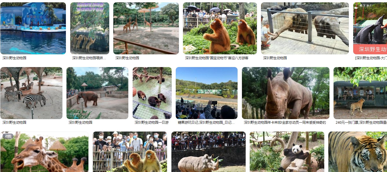深圳野生动物园里面有吃饭的地方吗