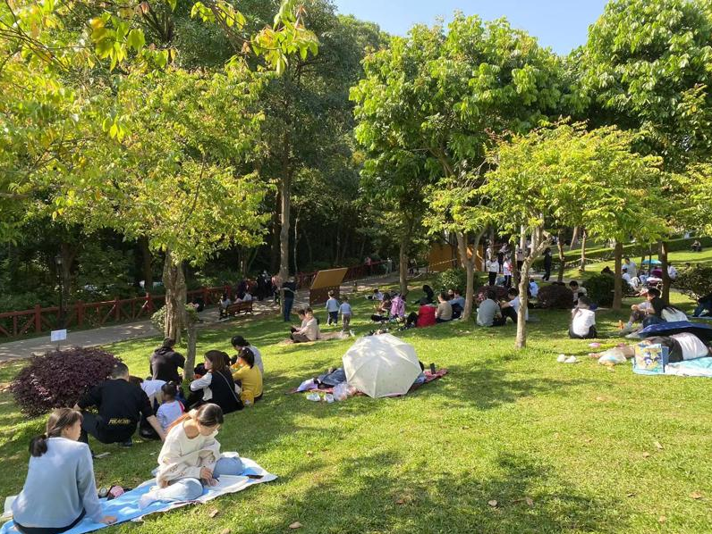 深圳龙华区适合野餐的地方，这些地方可以搭帐篷野餐